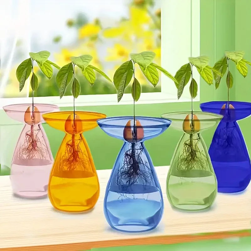 Bunte transparente Avocado-Hydrokultur-Vase, Glas, Samen, Starter, Pflanze, Samenwachstumsset, Heimdekoration, Gartenliebhaber, Avocado-Vase