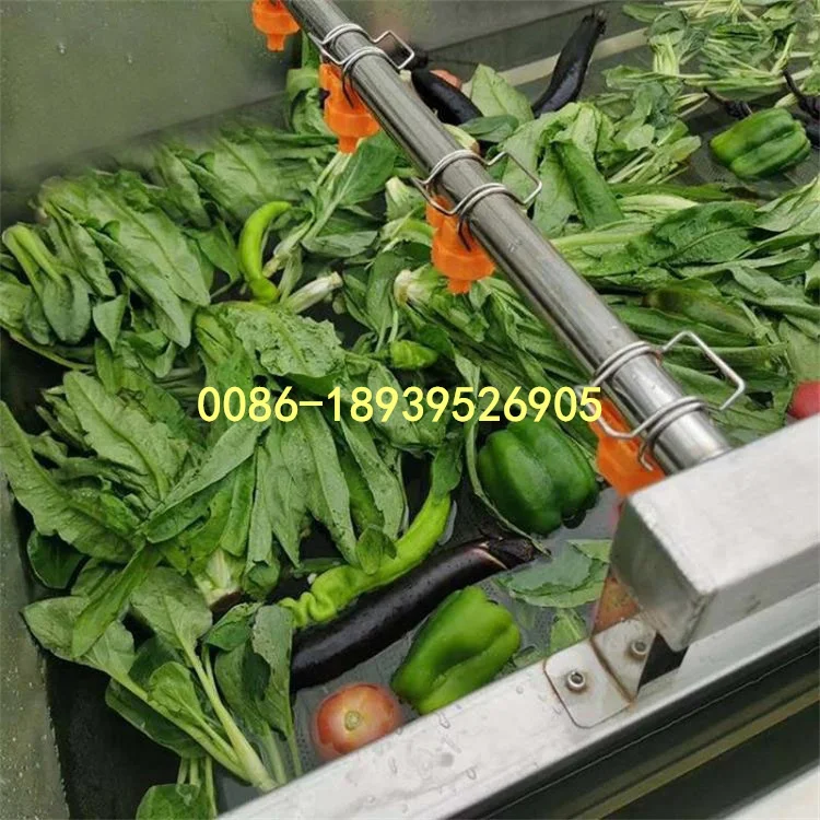 High pressure spray fruit and vegetable bubble cleaning machine carrot cleaning machine eggplant lettuce washing machine