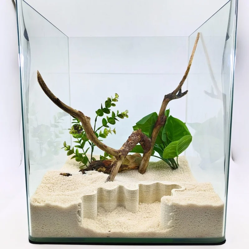 

The winding and twisting sand and stone partition board in the aquarium enhances the sense of hierarchy in the aquarium