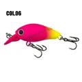 Col 06