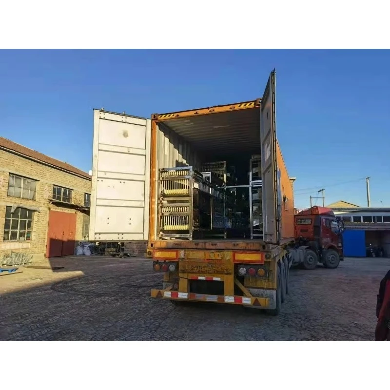 Avocado Fruit Sorting Sorter Machine