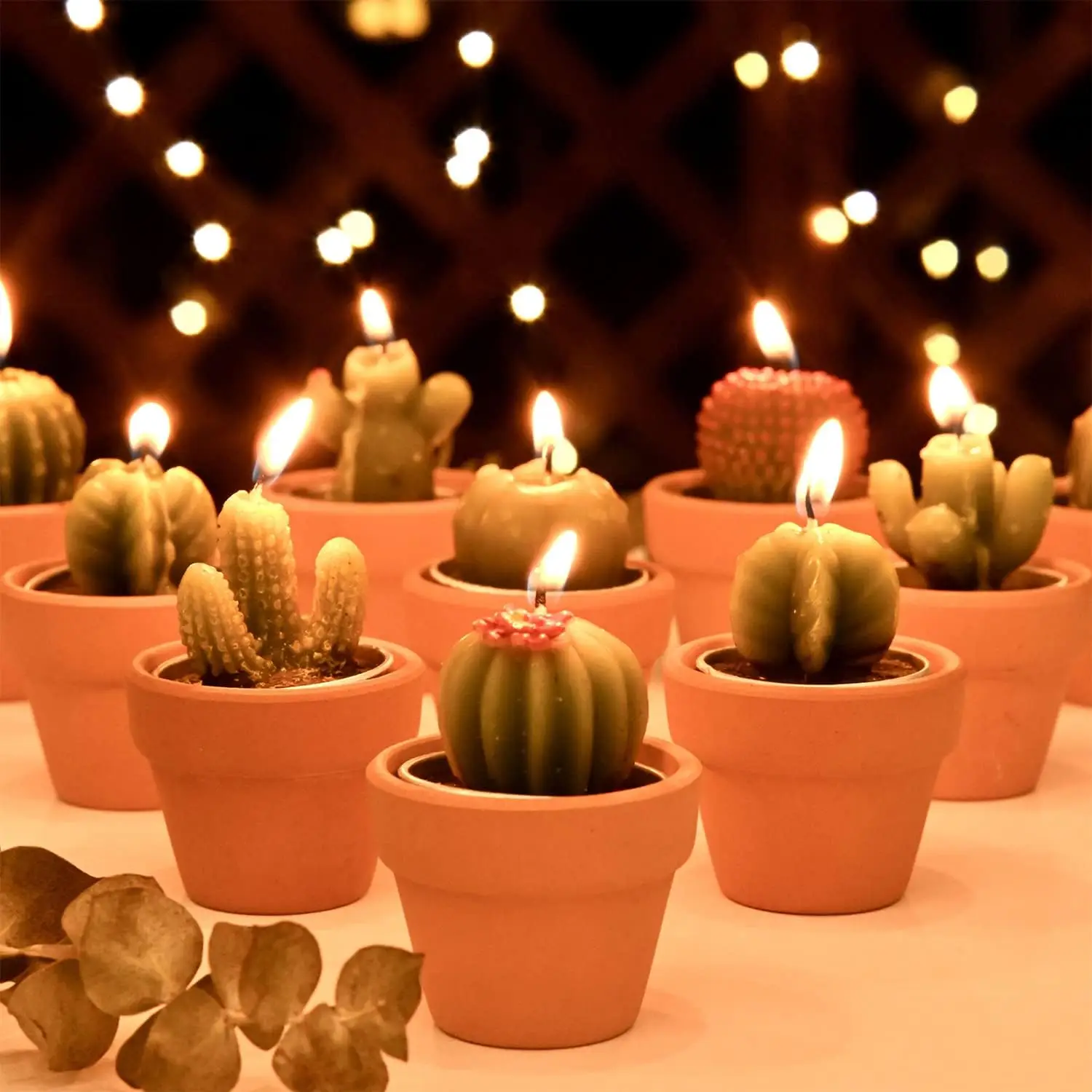 12 Cactus Tealight …