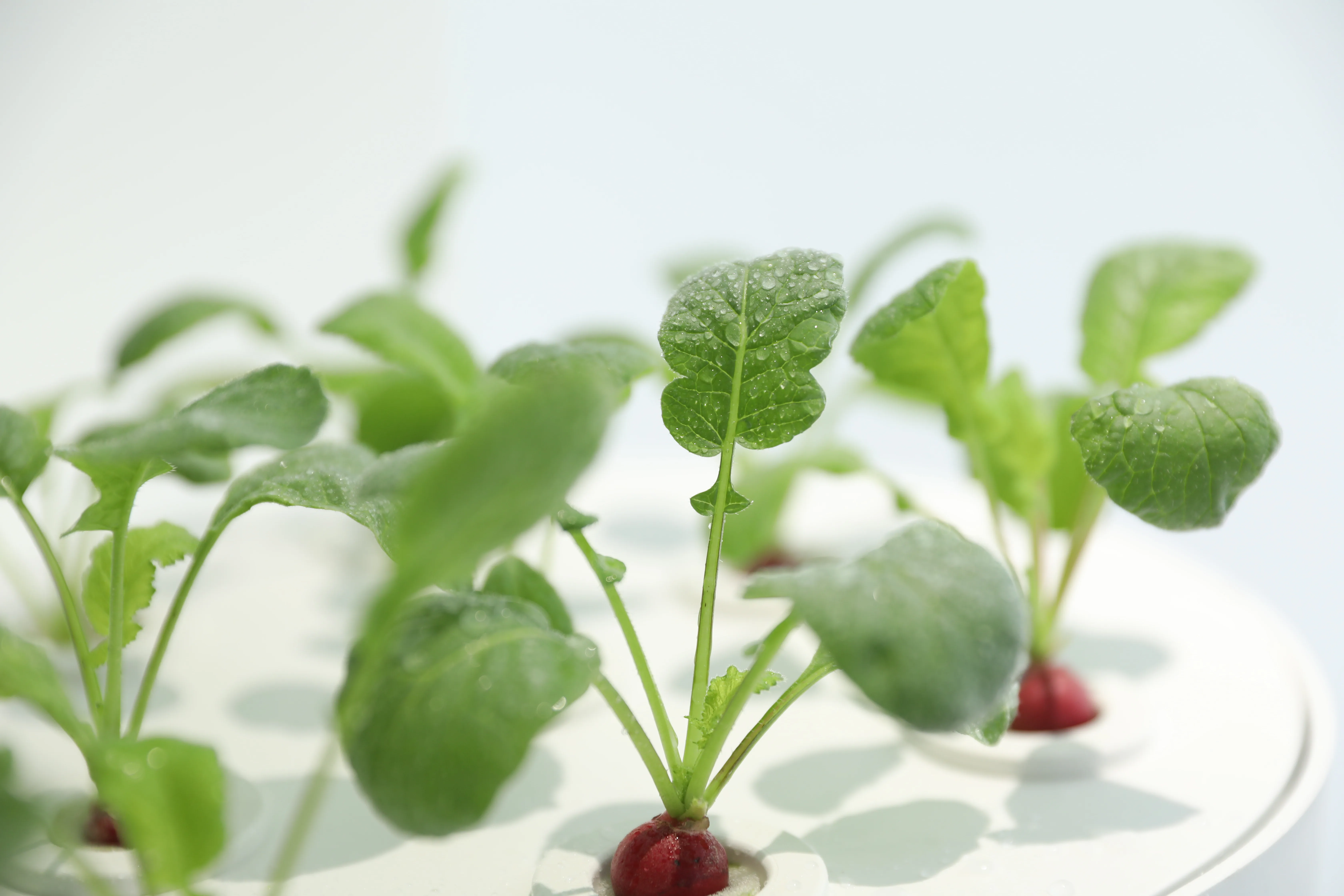 

Smart Grow Tower Vertical Indoor Farming System With Led Grow Light