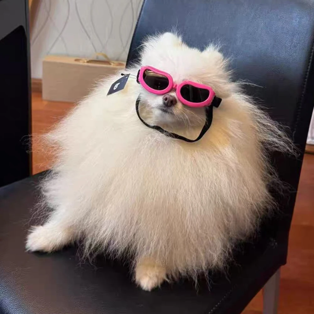 Retro Pilotenbrille für kleine Hunde, Fahrradbrille für Haustiere, Yorkshire Pinscher Sonnenbrille, Fotografie-Zubehör für Haustiere – Detail 4