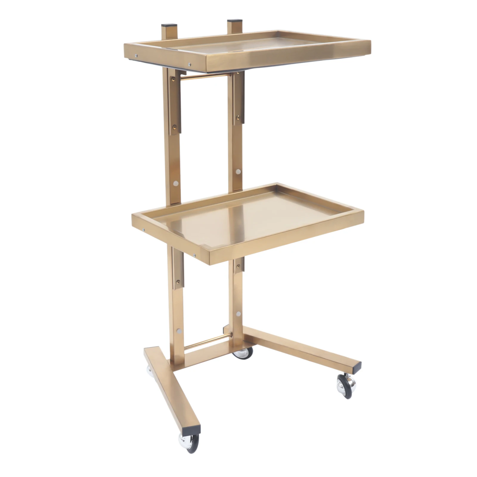 

2 Tier Metal Rolling Cart, Stainless Steel Salon Tray with Wheels, Foldable Utility Carts, Folding Salon Tray Trolley