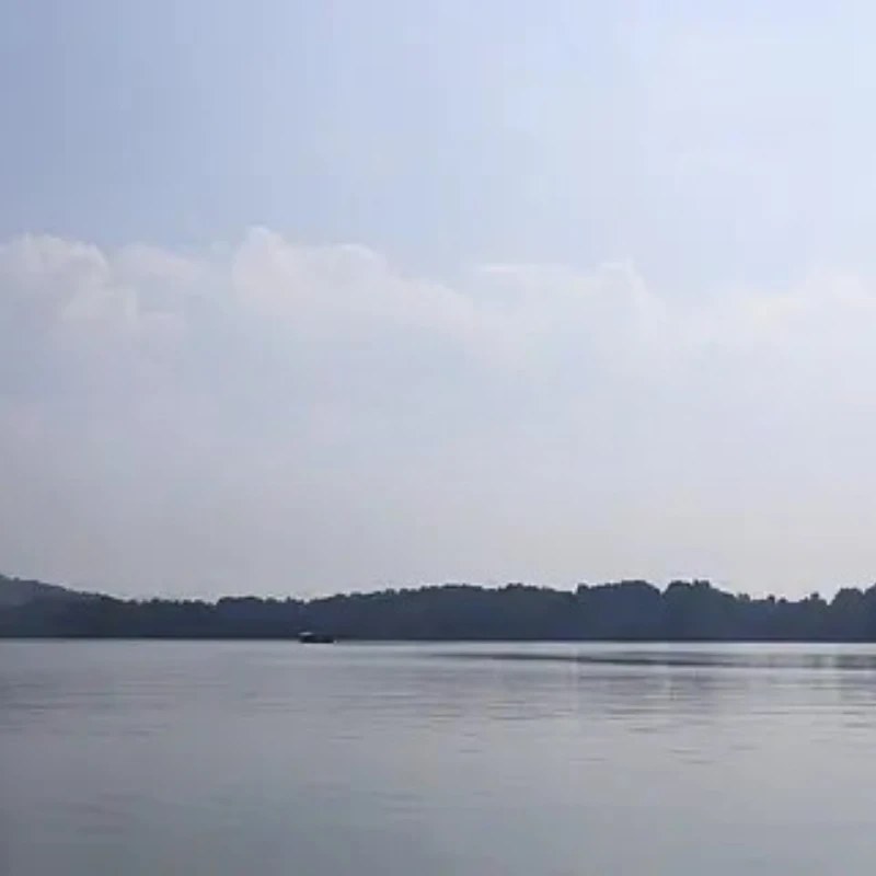 

T-HOBBYT-MOTOR AT7215 KV200/KV220/KV245KV270 Brushless Motor Drone Motor for RC Drone Fixed Wing Multicopter 30CC