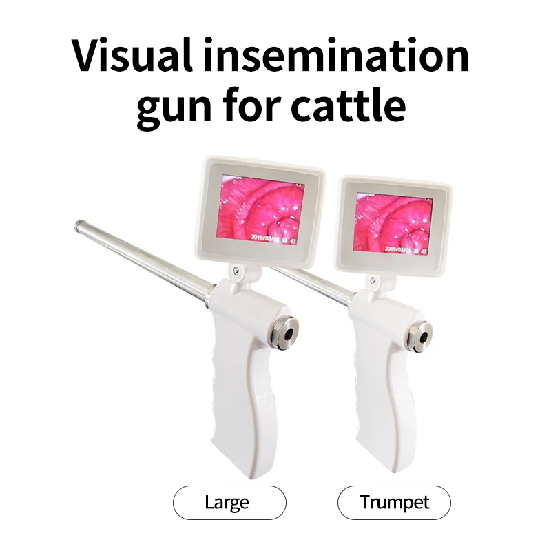 Veterinary visual insemination Upgrade visual sperm  with endoscope