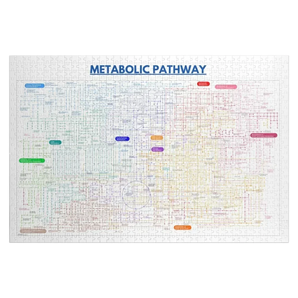 

Metabolic pathway map Jigsaw Puzzle Customs With Photo Personalized Jigsaw Custom Puzzle