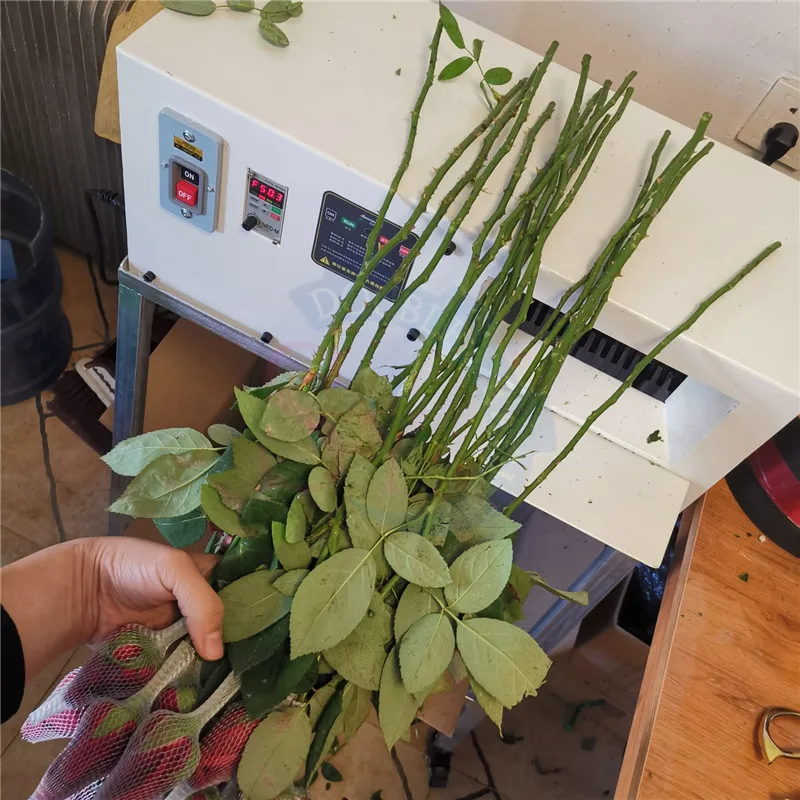 ขายร้อนมืออาชีพเชิงพาณิชย์เดสก์ท็อปไฟฟ้าปรับความเร็วสําหรับการขจัดหนามและตัดรากของดอกกุหลาบ