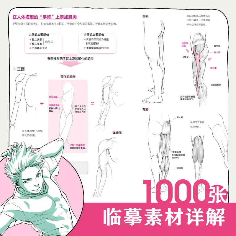 Japanese Masters Talk About Manga: Comic Character Technique Tutorial Book Self-study Character Sketch Art Book