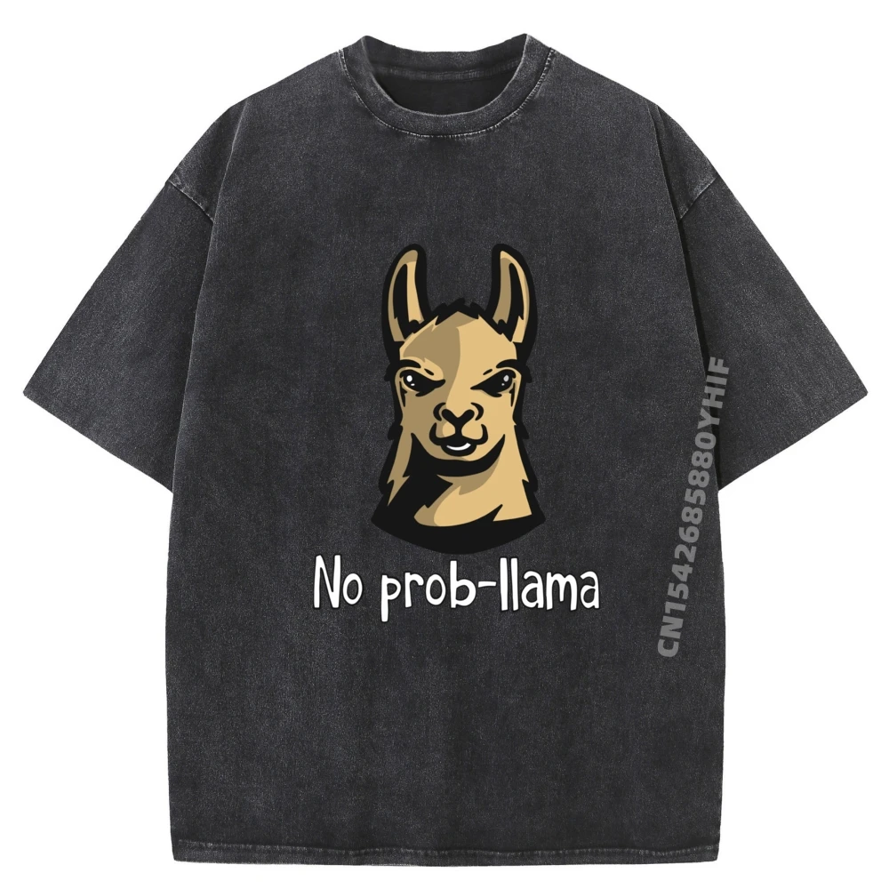 

Mens Printed Tshirt No Prob Llama Cute Llama Lovers Hiphop Streetwear Anime T Shirts Outdoor Washed Shirt Hip Hop