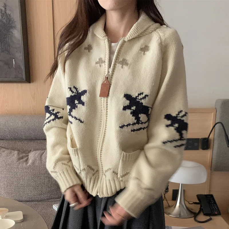 

Cisas Aosphere Thiened Knitted Sweater Cardigan Coat Cisas Pattern Embroidery Winter Outerwear for Women