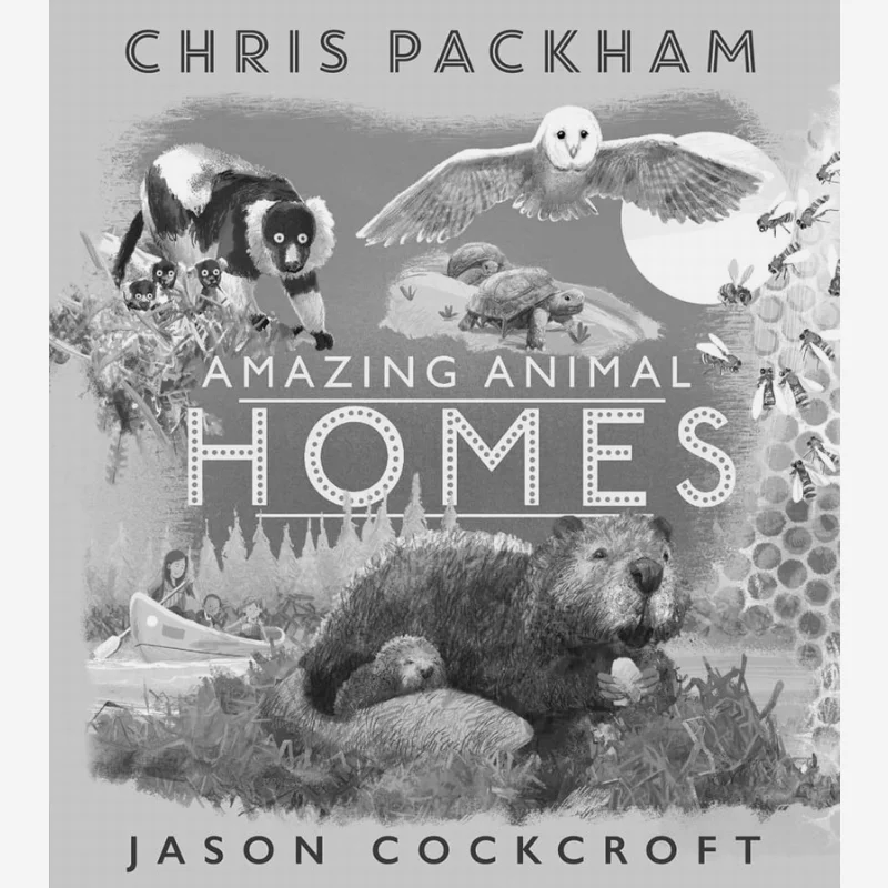 

Удивительные домашние животных Крис Пакем ФАРШЕР 9781405284899 Книга