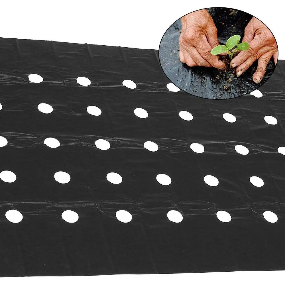 

3.12 ft X 32.81 ft Mulch Film Thermostatic With Holes Planting Plastic Mulch Film Agricultural Use Multi-purpose Grow Film