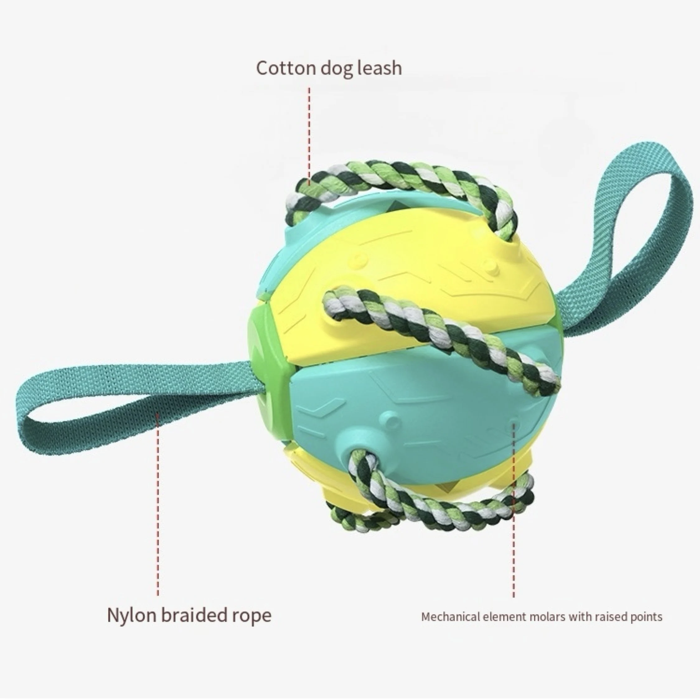 Border Collie Balls Interactive Pet Accessories Inflatable Soccer Training Toy for Dogs Chew Toy for Outdoor Fun