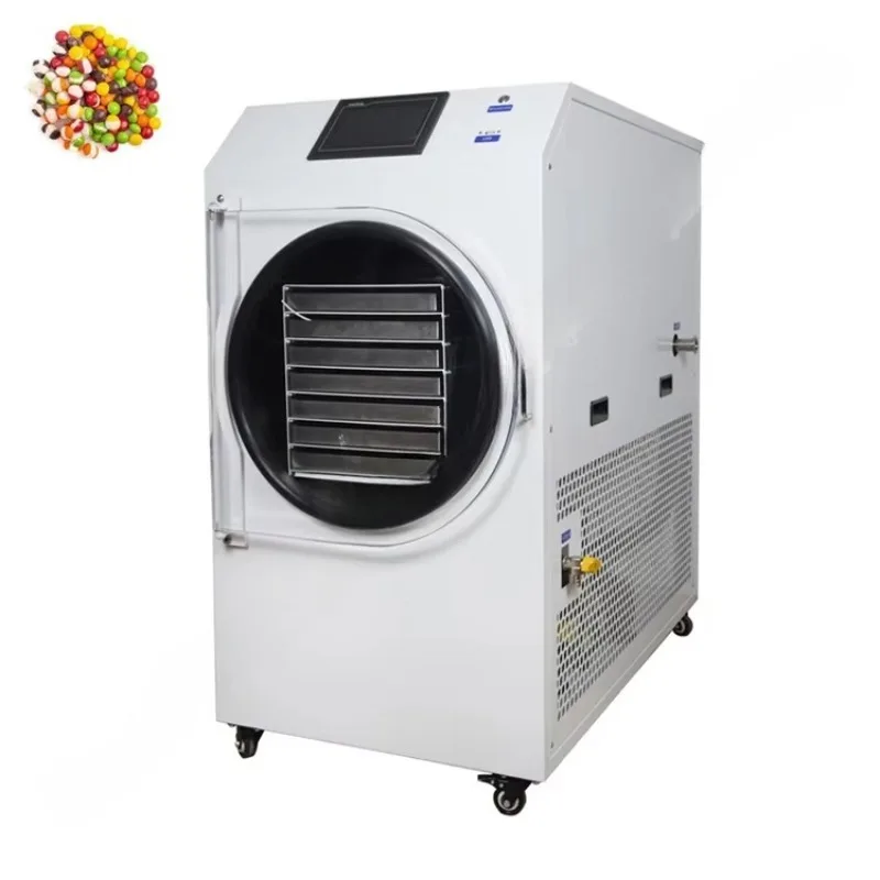 Customized Lyophilization Machine Household Lyophilizer Freeze Dry Candy Machine