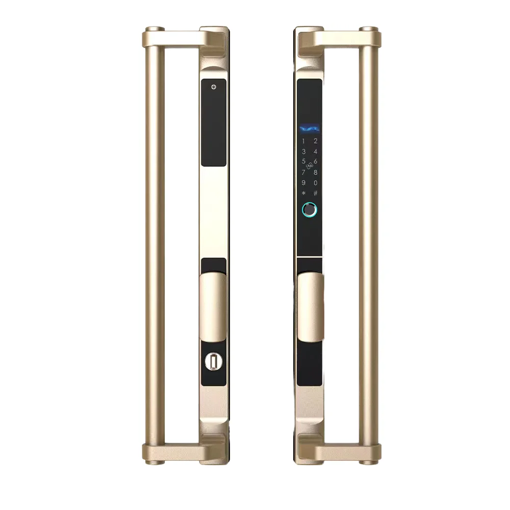 Outdoor Waterproof Sliding Gate Smart Door Lock IP68 WiFi TUYA Fingerprint Aluminum Door with Memory Card