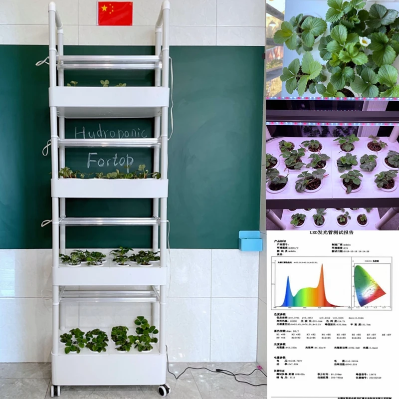 Hydroponics Growing System Garden Planting Tower With Full Spectrum  LED Lighs 4 Layers 56 Plants  Indoor Geenhouse Equipment