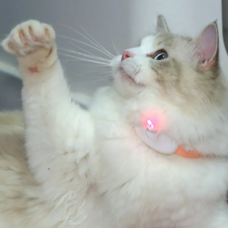 Smart Laser Cat-teasing Collar Laser Rechargeable Auto Infrared Interactive Pet Kitten Toys for Relieve Anxiety Pet Supplies