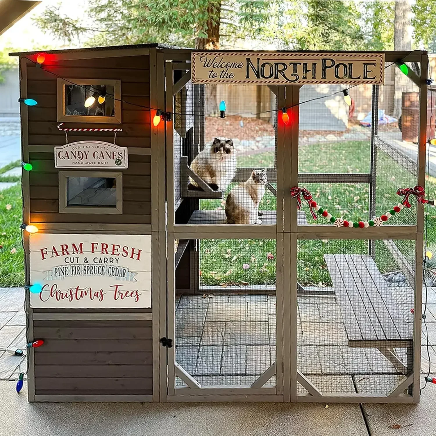 

77" Large Wooden Outdoor Cat Enclosure 4-Tier Kitten Kennel Cage 77x36x69 Customized