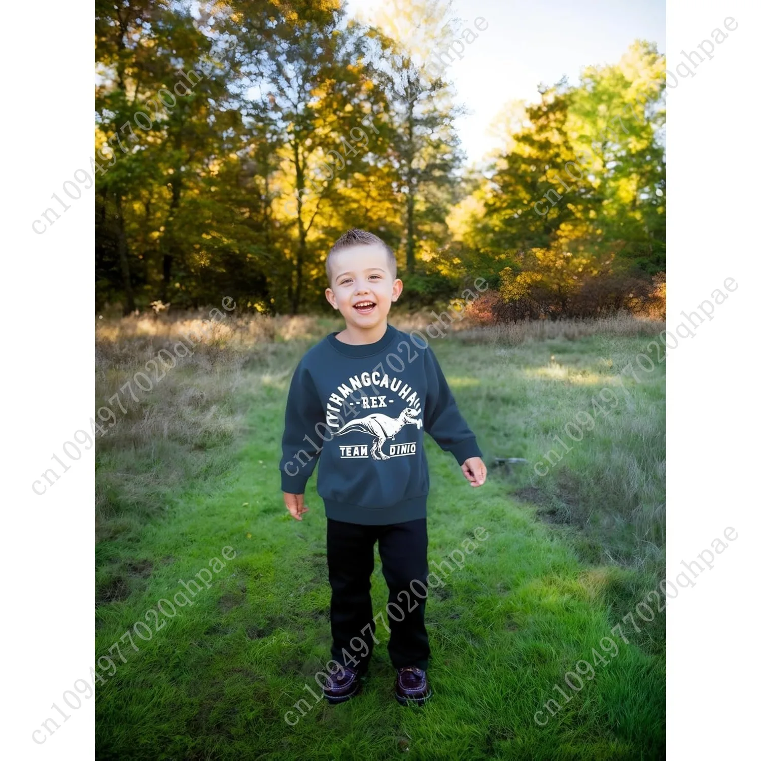 Рисунок 6 - Кофты с динозавром Akyzic для мальчиков