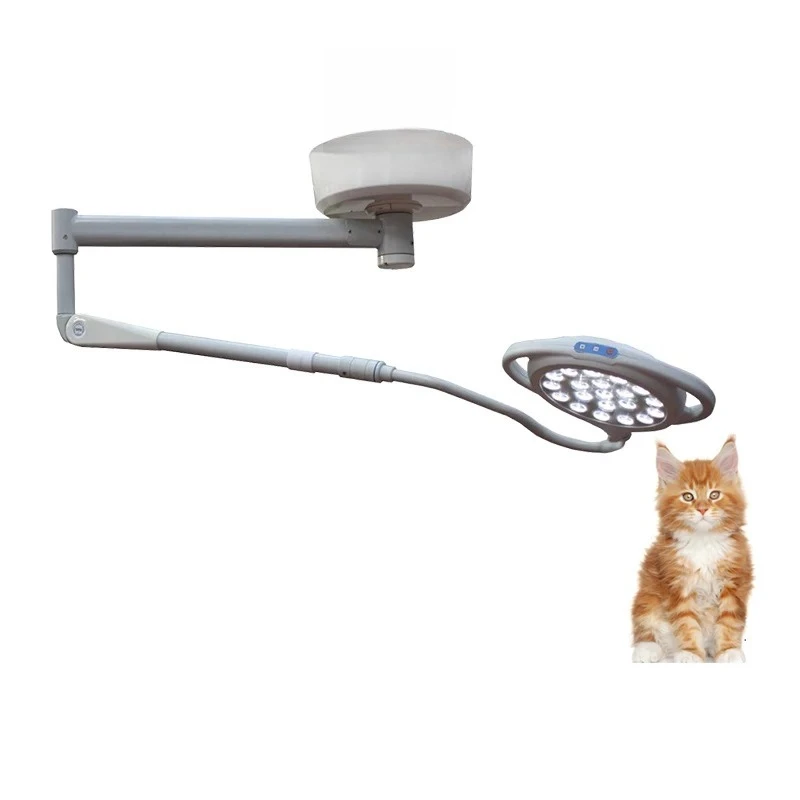 

Cheap Portable LED Exam Light Wall Mounted Exam Light Luxury Veterinary Equipment for Clinic Price