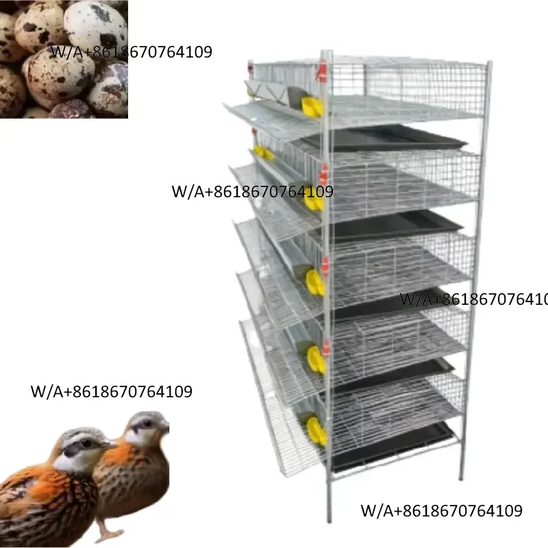 High-quality multi-layer quail cage, commercial-grade poultry equipment, direct supply