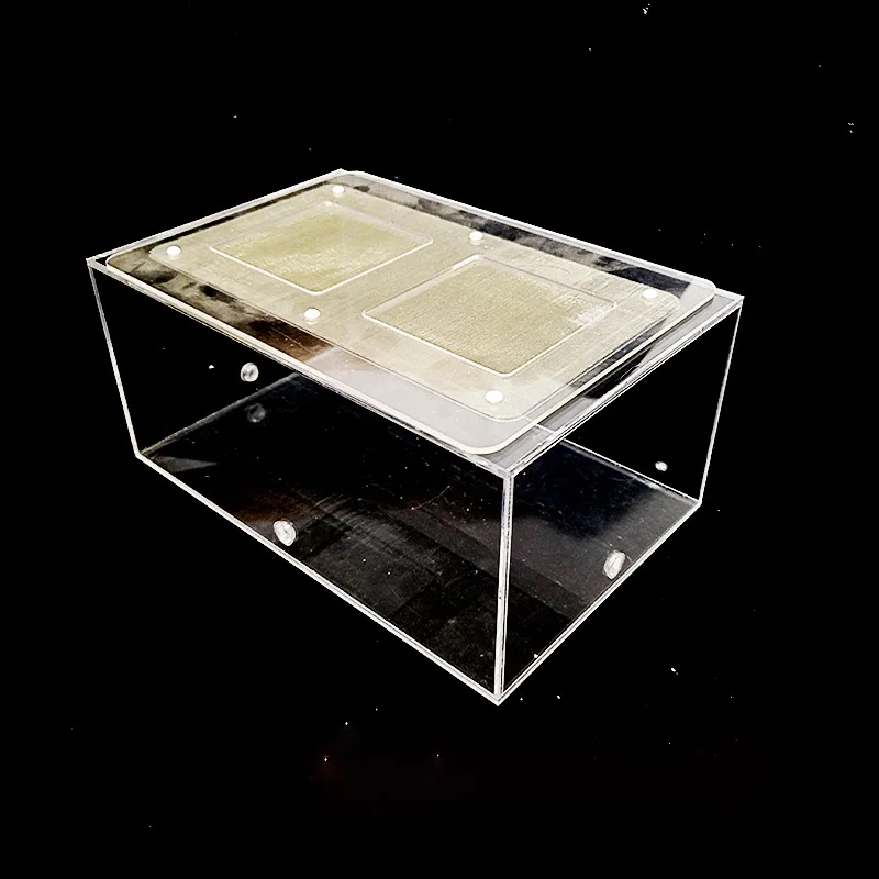 Acrylic Finished Seamless Ant Nest Ant Queen Landscaping Activity Area Transparent Observation Box DIY Insect Box