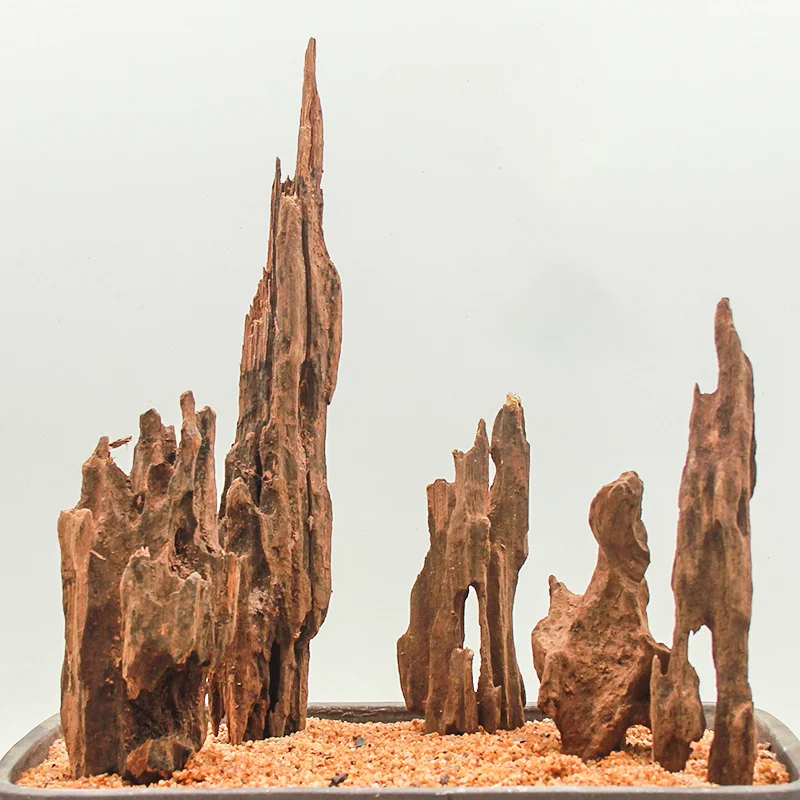 Shrimp Wood FIshtank Drift wood for Natural Aquariums decors Aquarium Ornament Betta Fish Fish Tank Landscaping Decoration