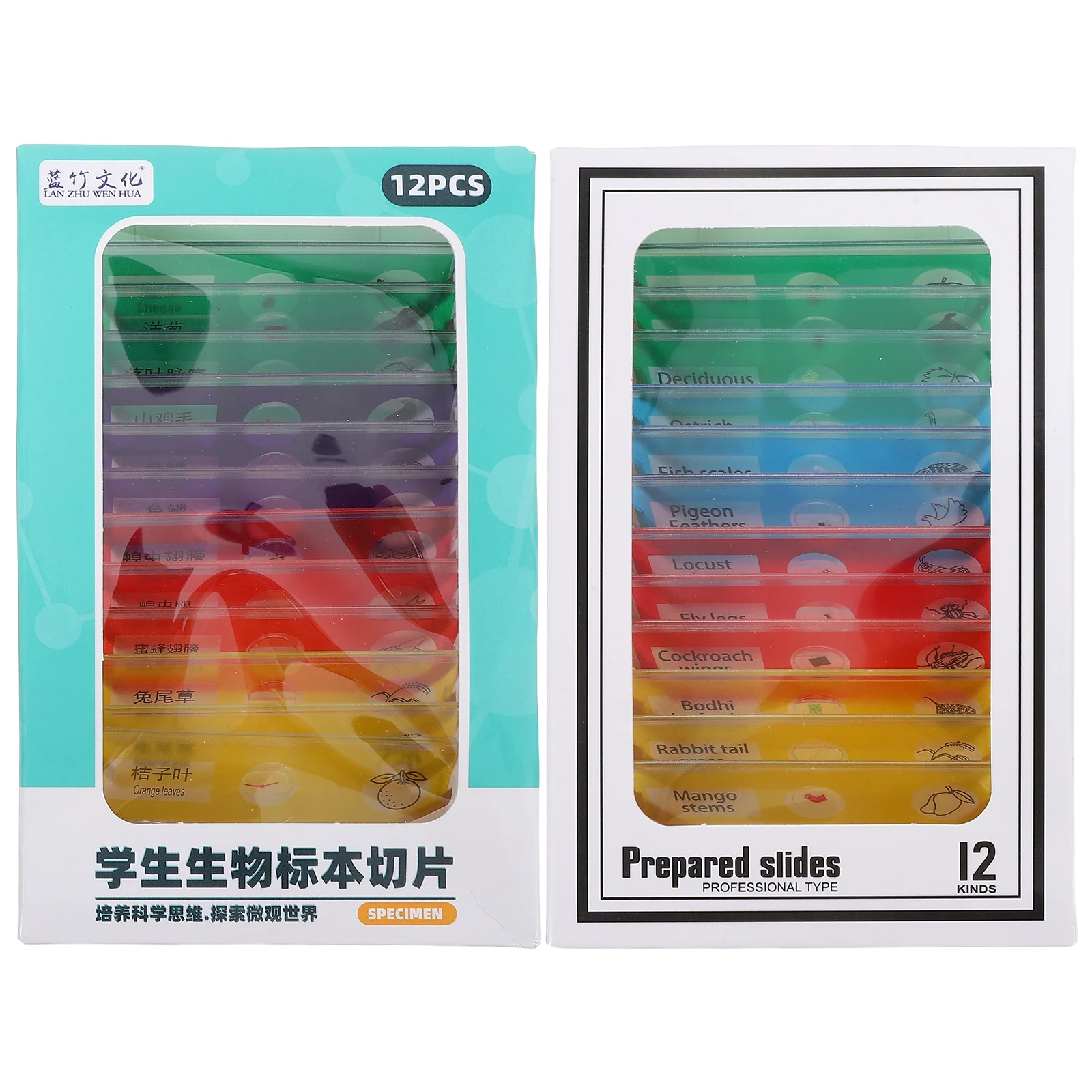 ชุดสไลด์กล้องจุลทรรศน์วิทยาศาสตร์ 24 ชิ้น สำหรับเด็ก ชุดสื่อการเรียนรู้ชีววิทยา ตัวอย่างพืช ดอกไม้ แมลง พร้อมฉลากสองภาษา
