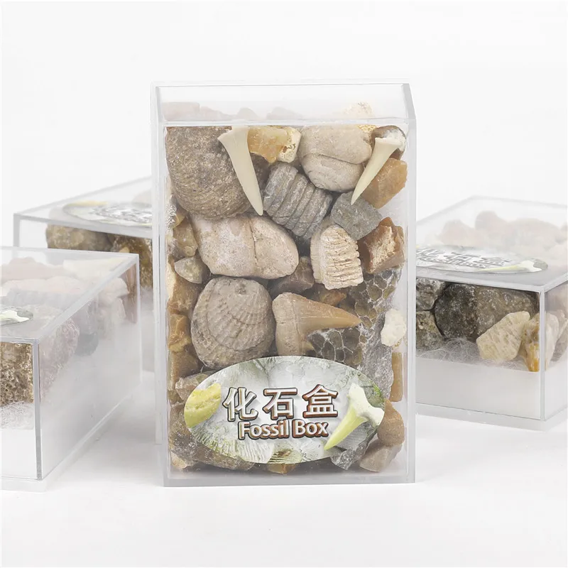 

Mixed Mineral Specimens Fossil Box Small Irregular Ore Rock Stone Healing Crystals for Children Teaching Resarching