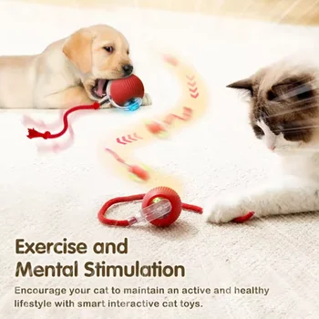 ของเล่นลูกบอลแบบโต้ตอบสําหรับแมว, ลูกบอลกลิ้งอัตโนมัติพร้อมห...