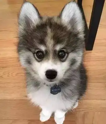 

Car Window Pillar Posts Door Trims Cover Stickers For Skoda Kodiaq 2017-2020 2021 2022 2023 2024 Auto Exterior Column Decal 8Pcs