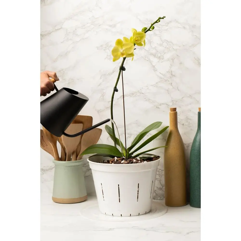 

10 Inch Clear Slotted Pots, 3-Piece Set in Cloud White