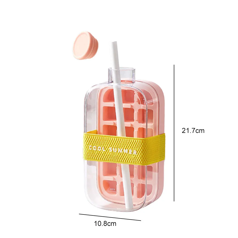 2 In 1 Ice Cubes Tr…