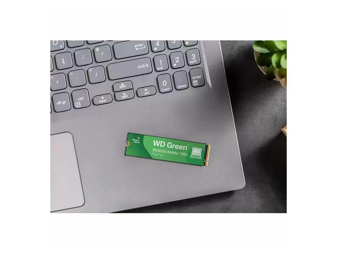 Western Digital Green SN3000 WDS100T4G0E-00CPS0 1 TB Solid State Drive - M.2 2280 Internal - PCI Express NVMe 4.0 x4 - Notebook, Desktop PC, Computer Device Supported