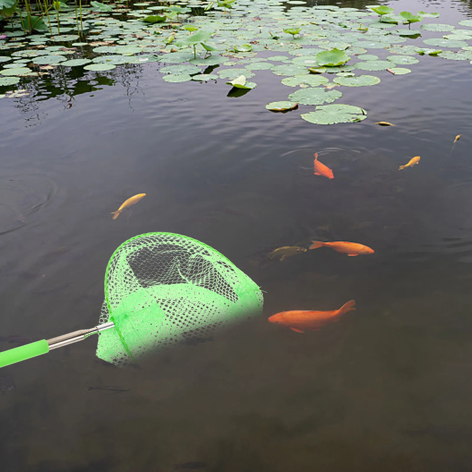 

1 set Stainless Telescopic Fishing Net Kids Outdoor Foldable Bucket Orange Green Fishing Net Catch Bugs Fish Nets