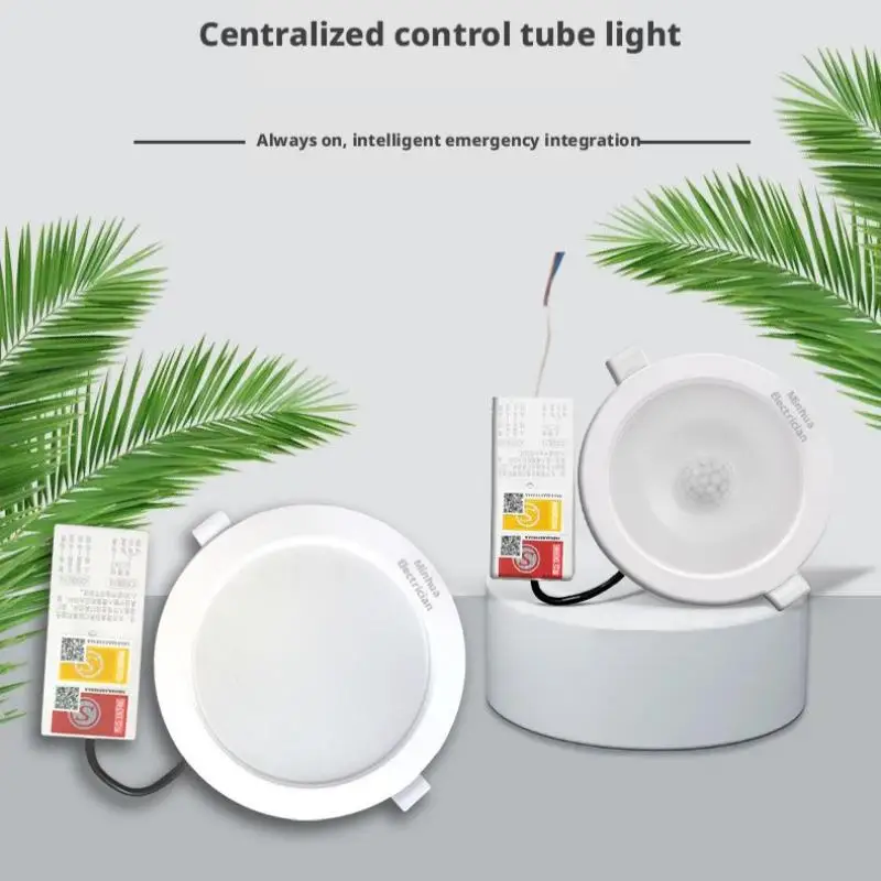Intelligent Emergency Tube Lamp 36v220v Universal Self Electric Automatic Control Centralized Control Fire Emergency Lighting