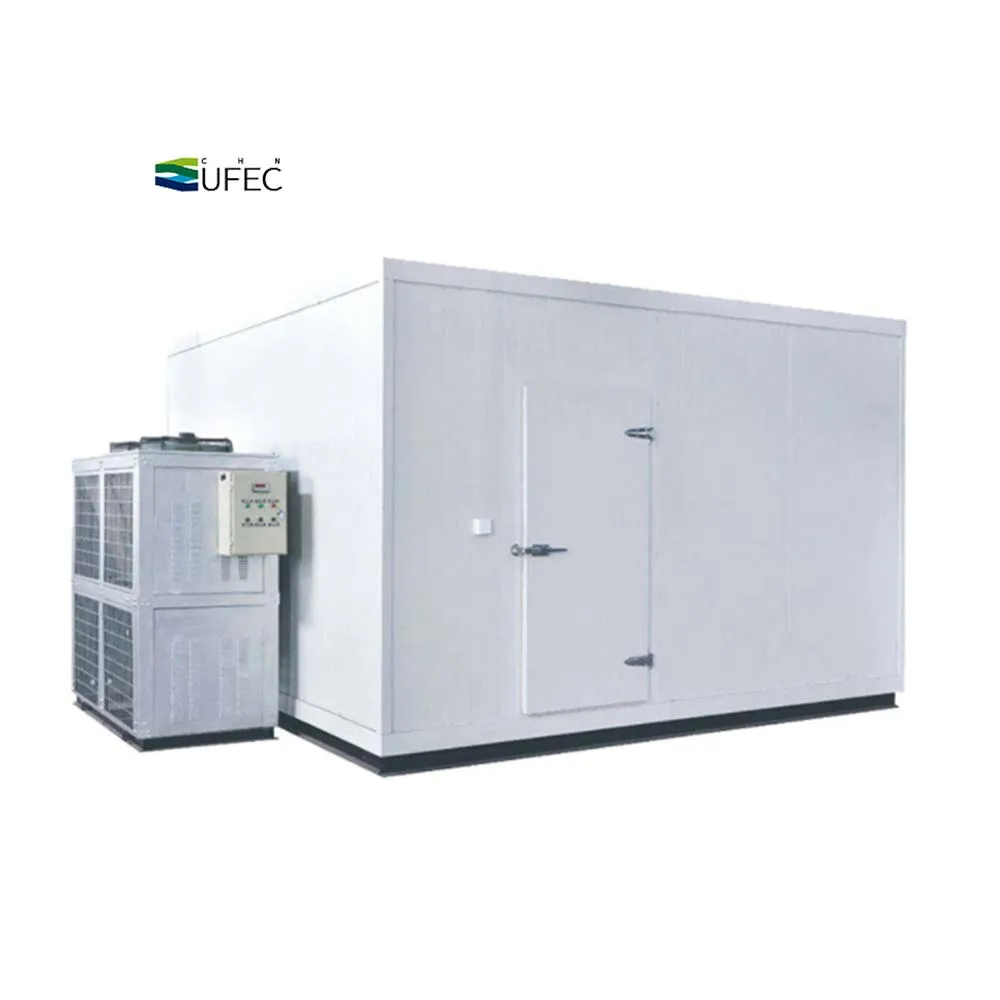 Frutta Verdura Carne Pesce Congelatore Camera Fredda