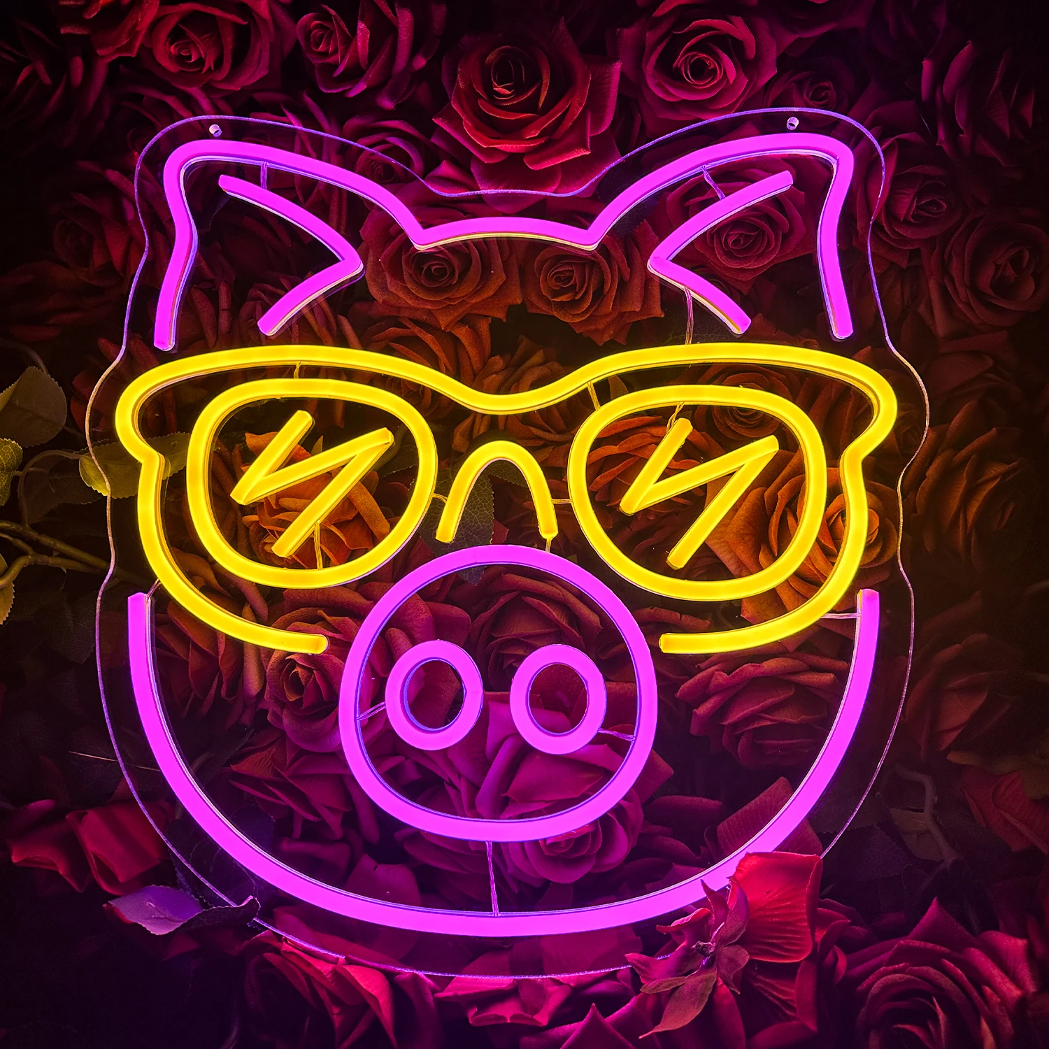 Cool Pig Neon LED Sign, Animal Birthday Gift, Bedroom Decor, btGift, Wall Night Glow Lighting, Hommes et Femmes, Diversification Personality Lights