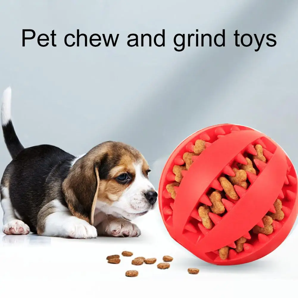 Textured Dental Chew & Food Feeder for Dogs product image