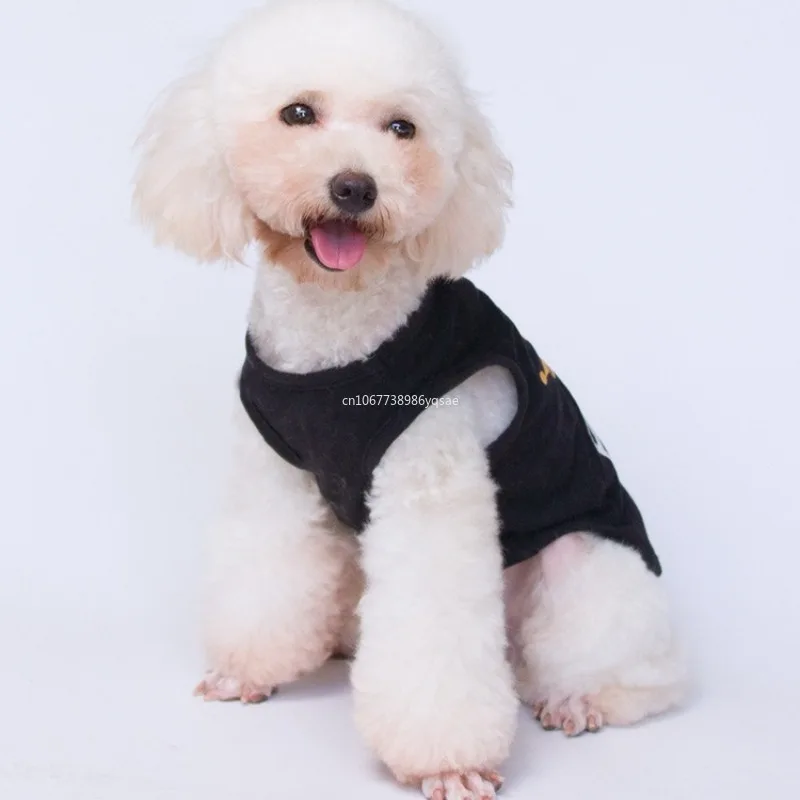 Summer Cotton Cat T Shirt Vest for Small Cats Gotas Princess Print Pet Dog Clothes Shirts Mascotas Clothing Puppy Clothes 골든리트리버 - Image 5