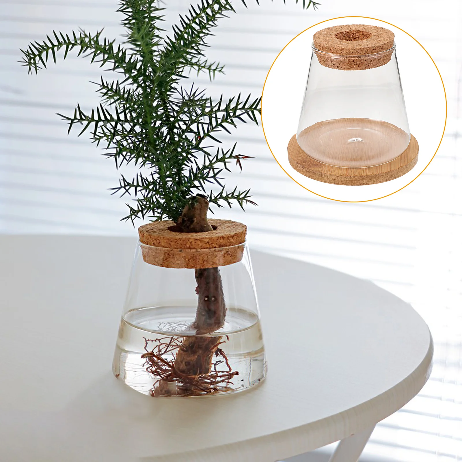 1PCS Clear Glass Tank Wooden Lid Hydroponic Vase Decorative Eco Friendly Plant Container Office Home Decor Glass