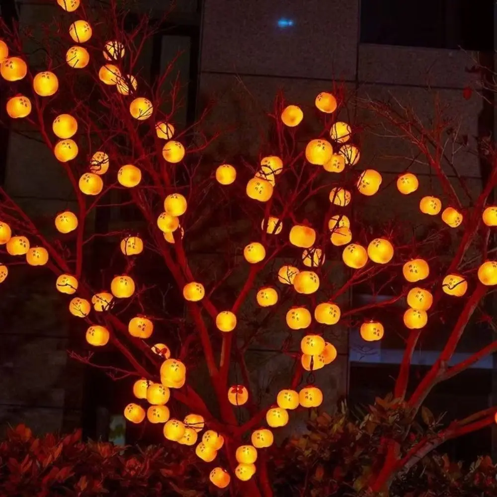 أضواء LED مقاومة للماء Ruyi مصباح LED فائق السطوع 20 فوانيس حمراء موفرة للطاقة يعمل بمنفذ USB ضوء البرسيمون ديكور العطلة