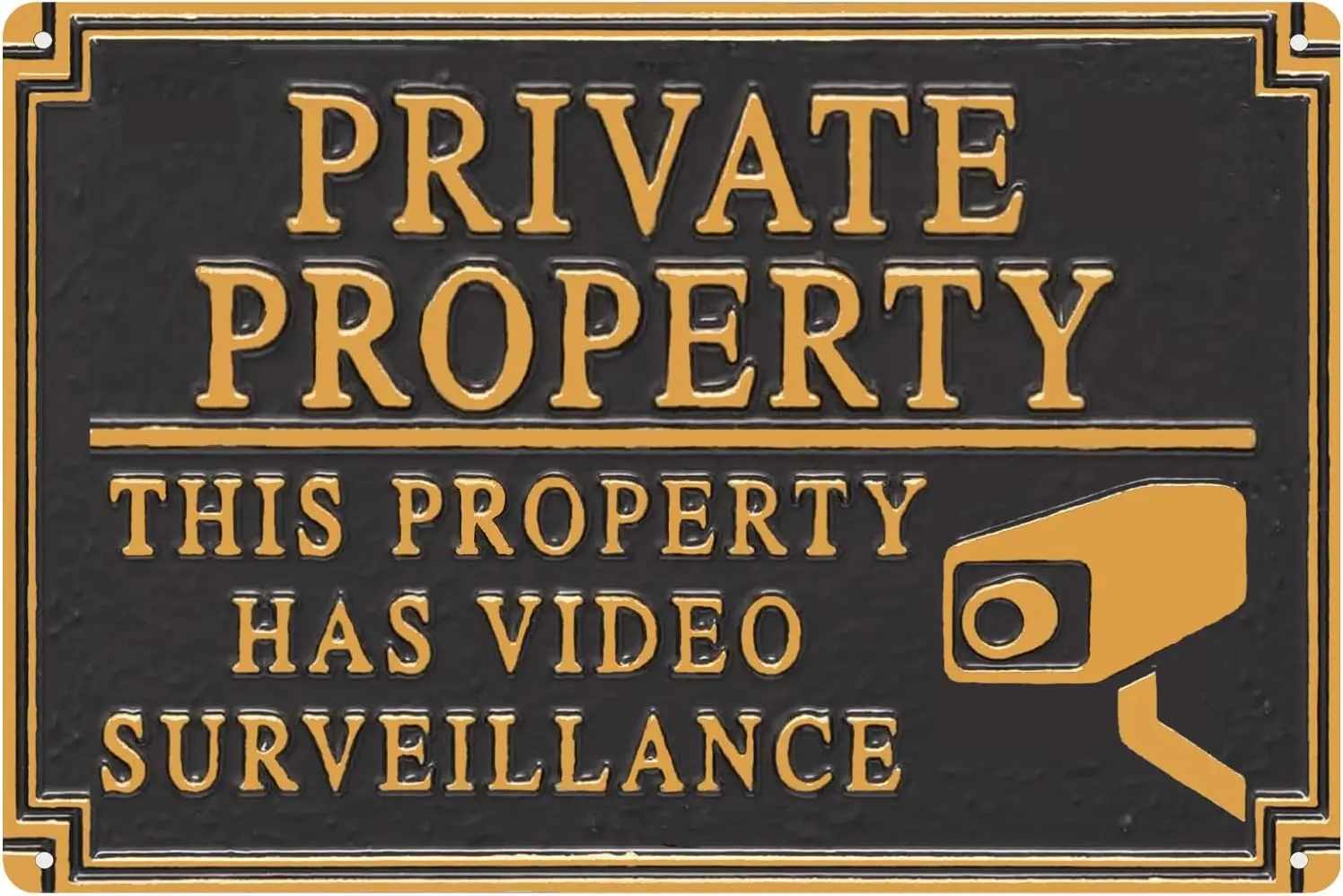 Vintage Metal Sign, Retro Wall Art, Funny Bar Signs, Motivational Affirmations,  (This Property Is Protected By Video Surveillan