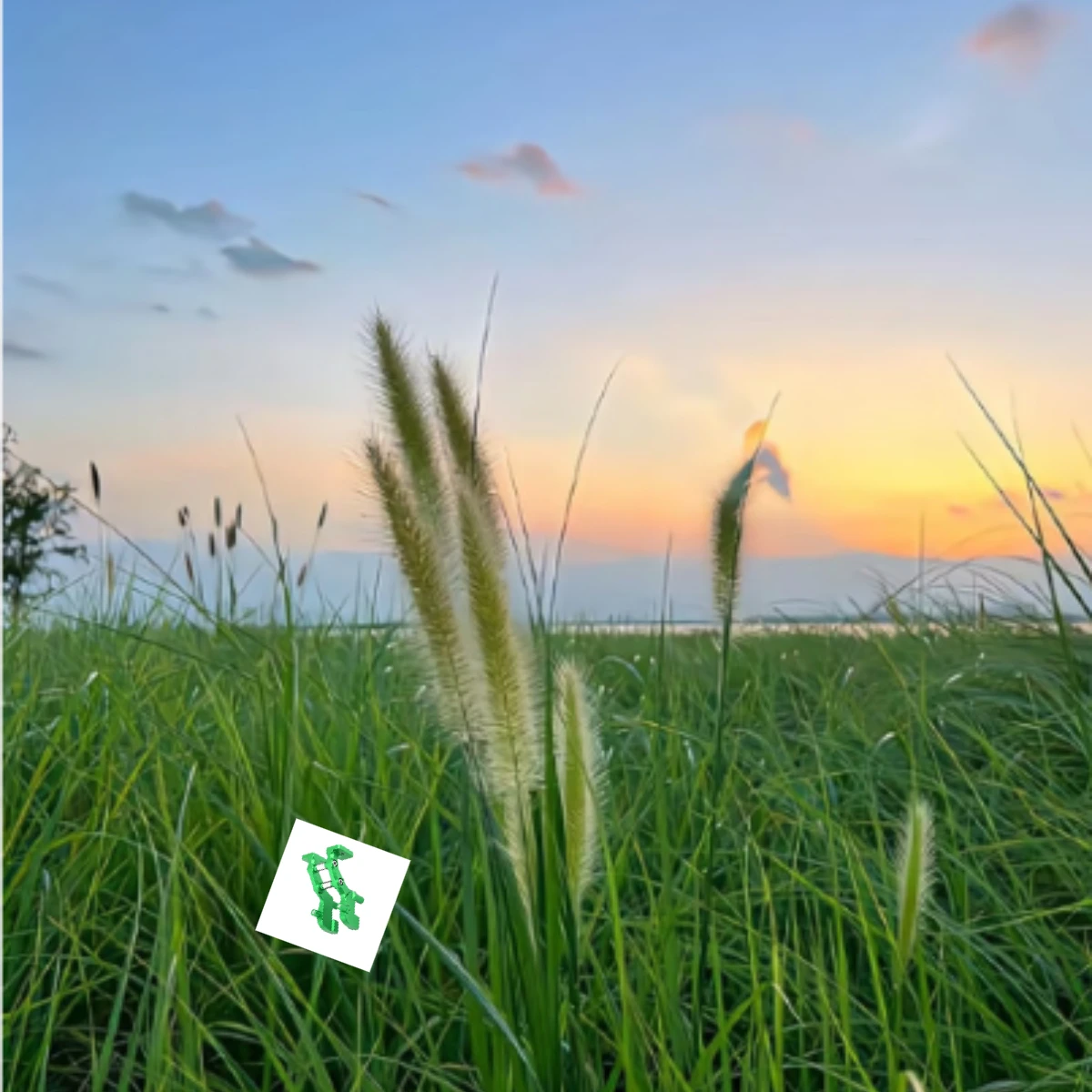 

GPM TRAXXAS 1:16 MINI E REVO ALLOY REAR WING MOUNT