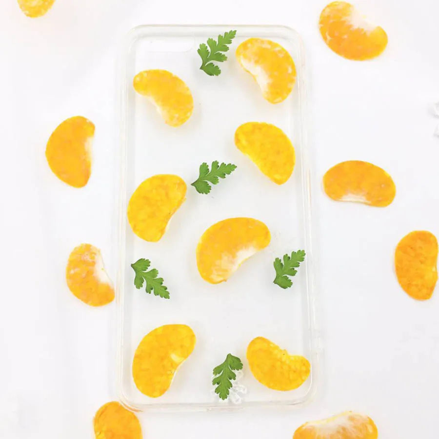 6pcs Dried Pressed Kumquat Meat Fruit Plant Herbarium For Jewelry Photo Frame Phone Case Bookmark Postcard Making DIY