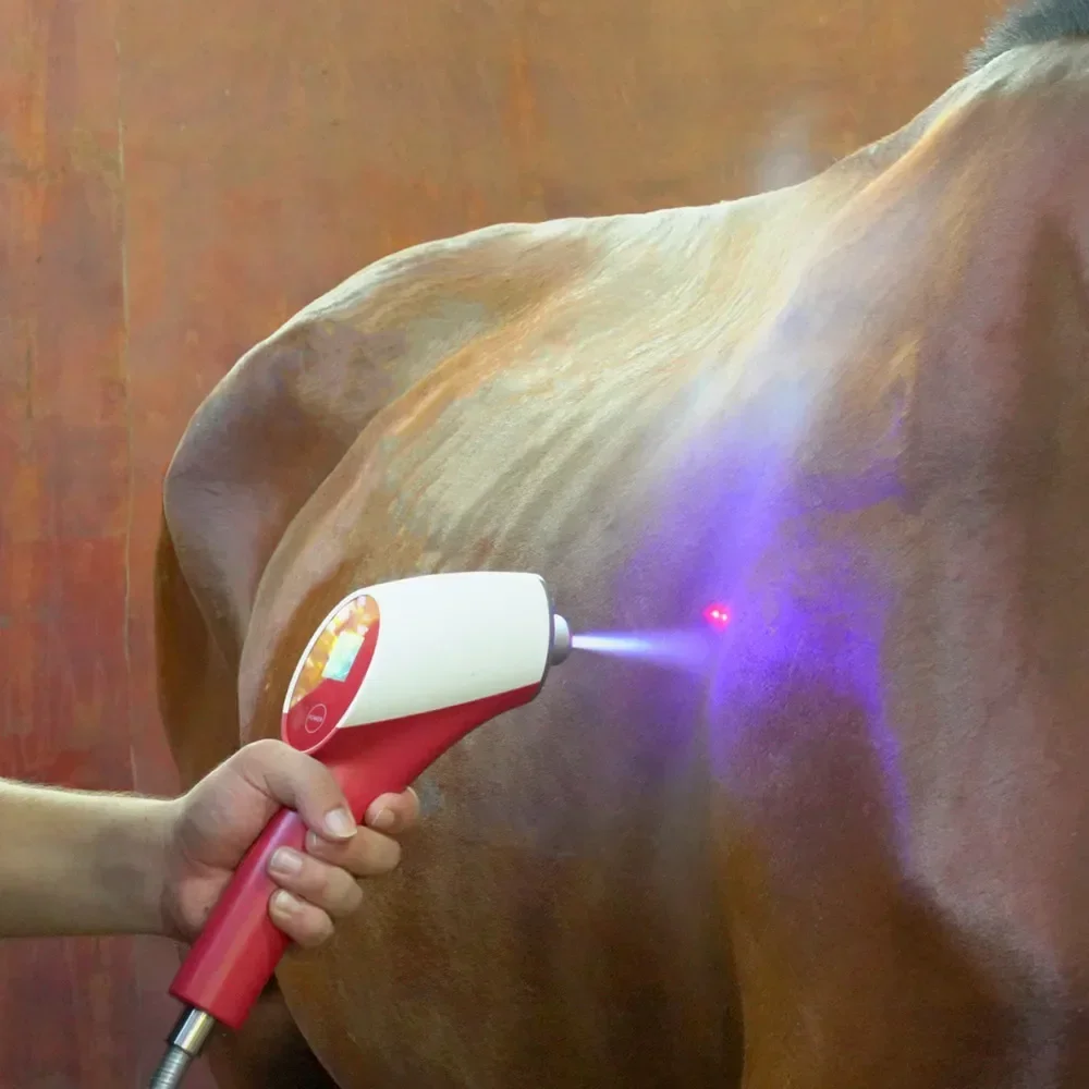 Portable Co2 Cryotherapy High-Pressure Co2 Carboxy Therapy Skin Cooling For Horses Pain Relief