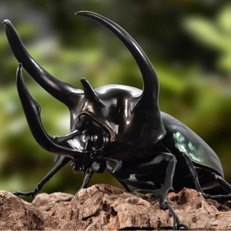 

В наличии Bandai Аутентичная энциклопедия насекомых Атлас Халкомы Кавказский жук Подвижная гиперреалистичная модель насекомых Украшения