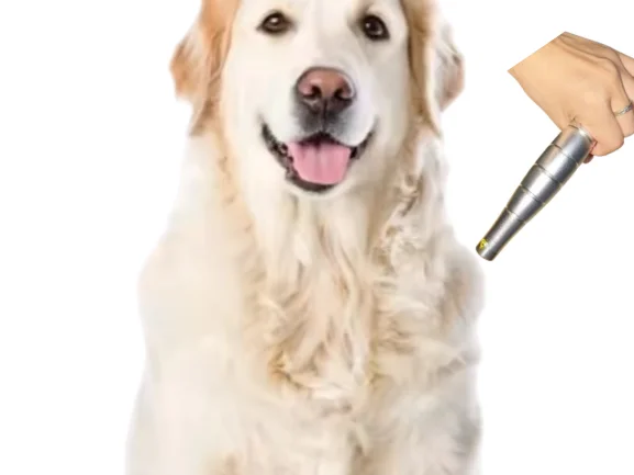 

Cold Laser + Massage Pet Comb Attachment Dual Action Soothe Skin Allergies Reduce Shedding Home Grooming Tool